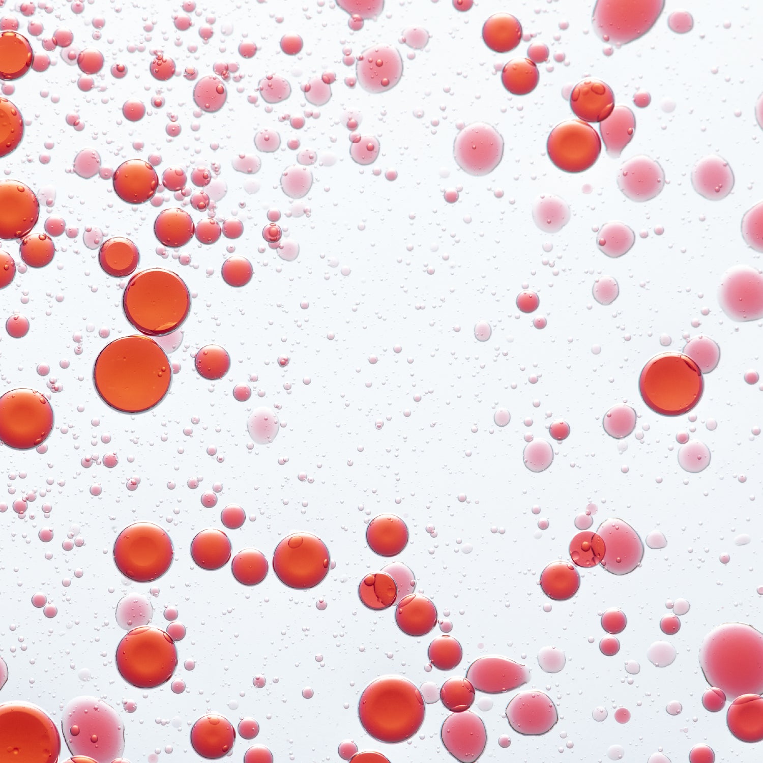 Gotas líquidas rojas sobre fondo blanco simulando componentes de sangre o ingredientes bioactivos